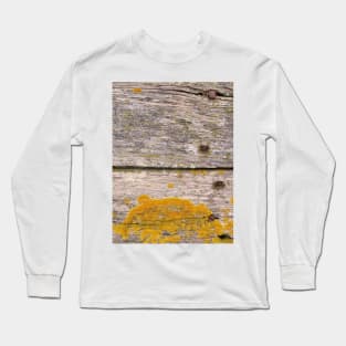 Golden Lichen on weathered wood Long Sleeve T-Shirt